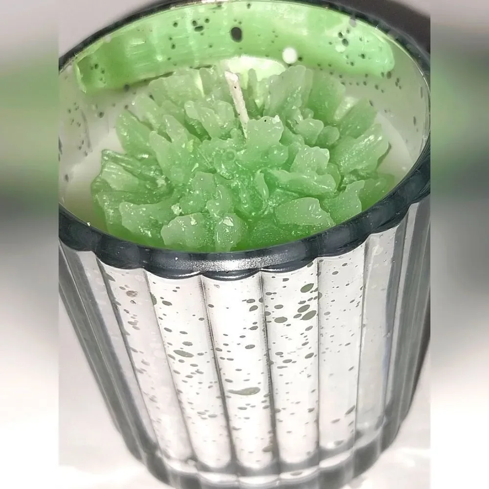 Hand crafted Enchanted Forrest limited edition candle 8oz